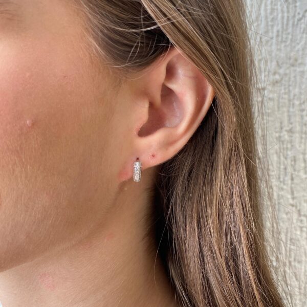 ARGOLA P CRAVEJADA DE ZIRCONIA PRATA 925 800045